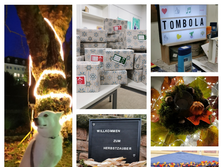 image-4993